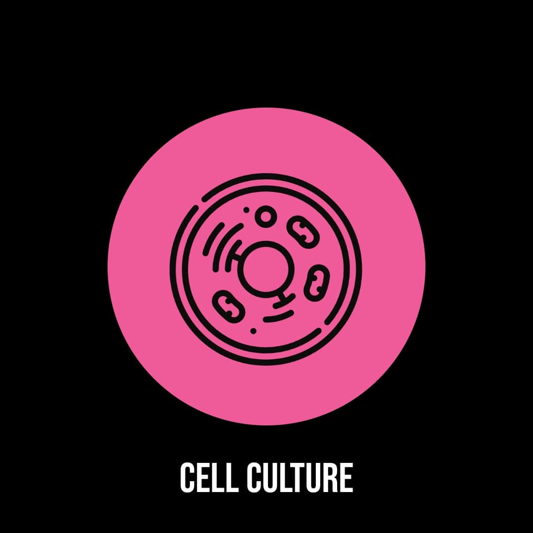 Cell Culture
