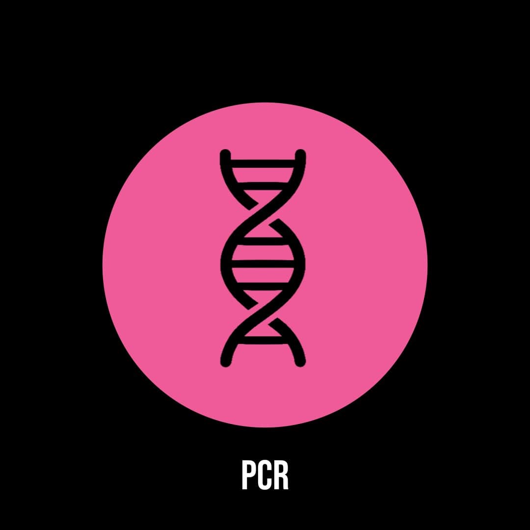 PCR
