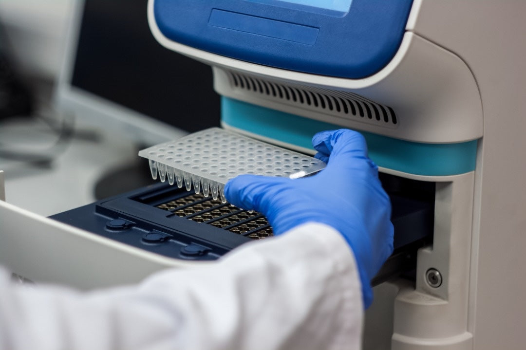 Sequencing / PCR