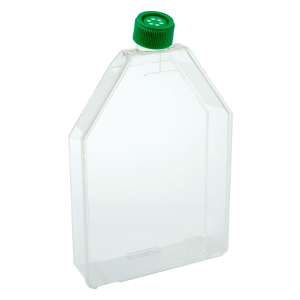 Tissue Culture Flasks (Surface Treated) Tissue Culture Flasks (Surface Treated) DBIOMED 300cm2 / Vent