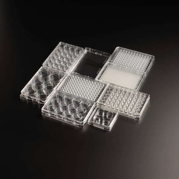 Tissue Culture Plate with Lid (Surface Treated) Tissue Culture Plate with Lid (Surface Treated) DBIOMED
