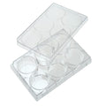 Tissue Culture Plate with Lid (Surface Treated) Tissue Culture Plate with Lid (Surface Treated) DBIOMED 6-Well